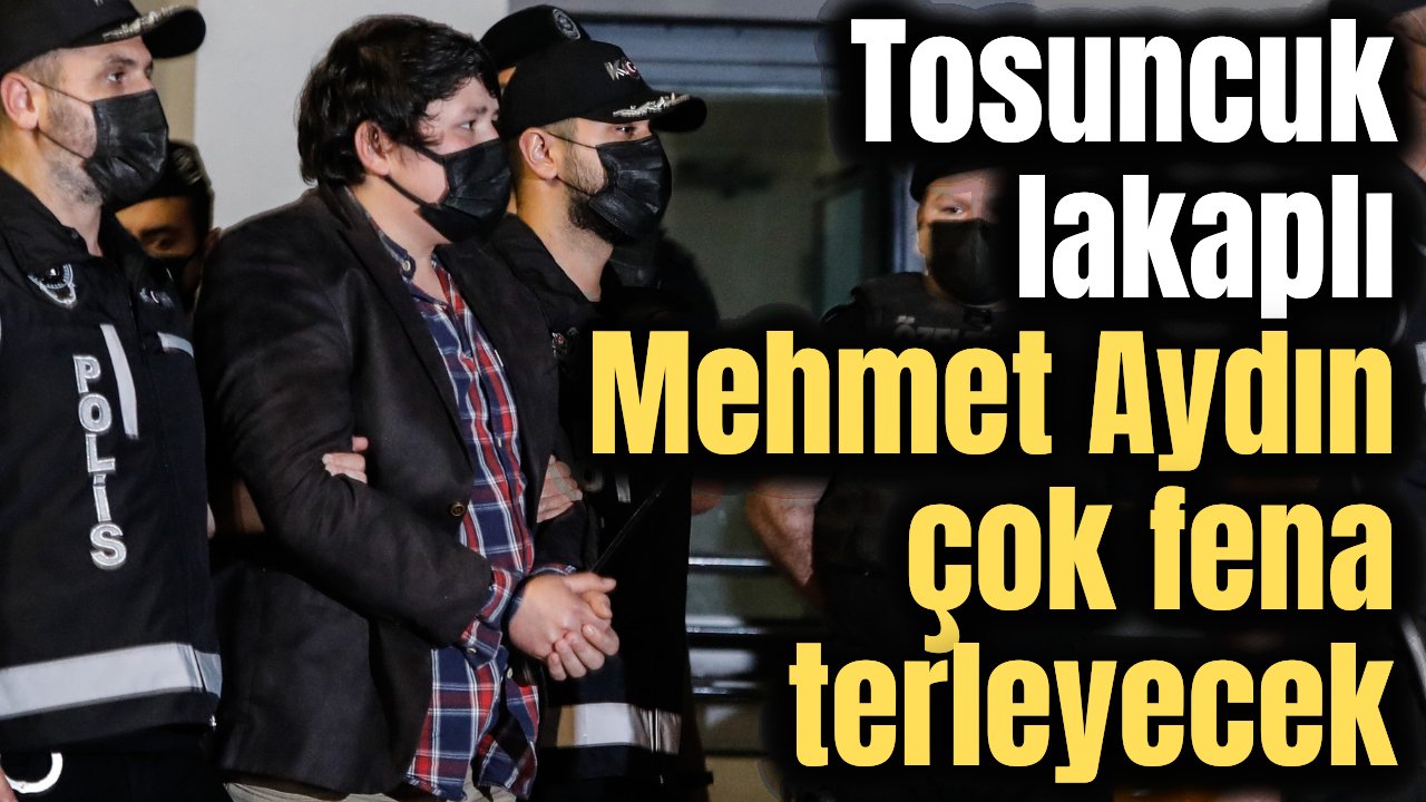 Türk polisinden soru yağmuru... Tosuncuk'u çok fena terletecekler!