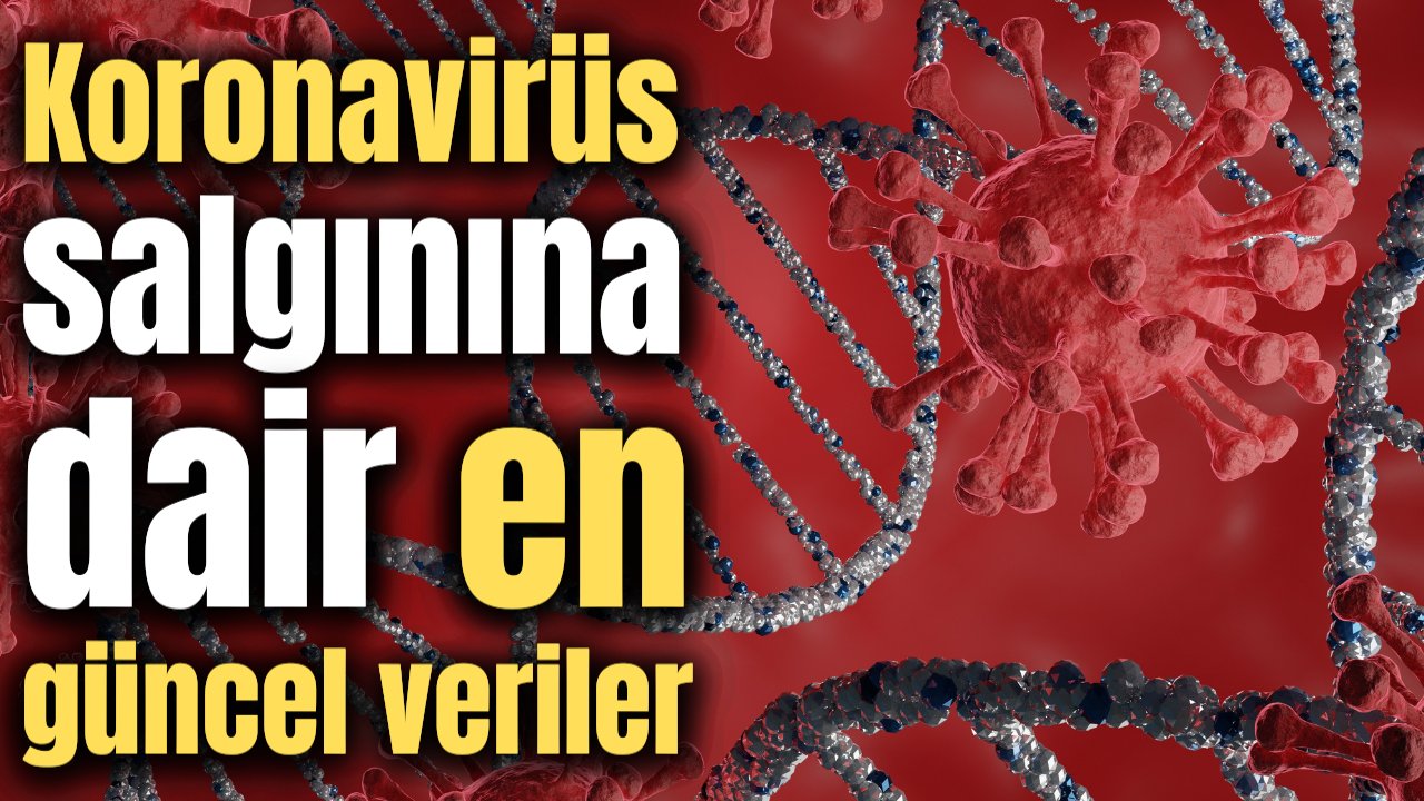 Vefat sayısı 250'in altına düşmek bilmiyor! İşte 29 Ağustos son durum...