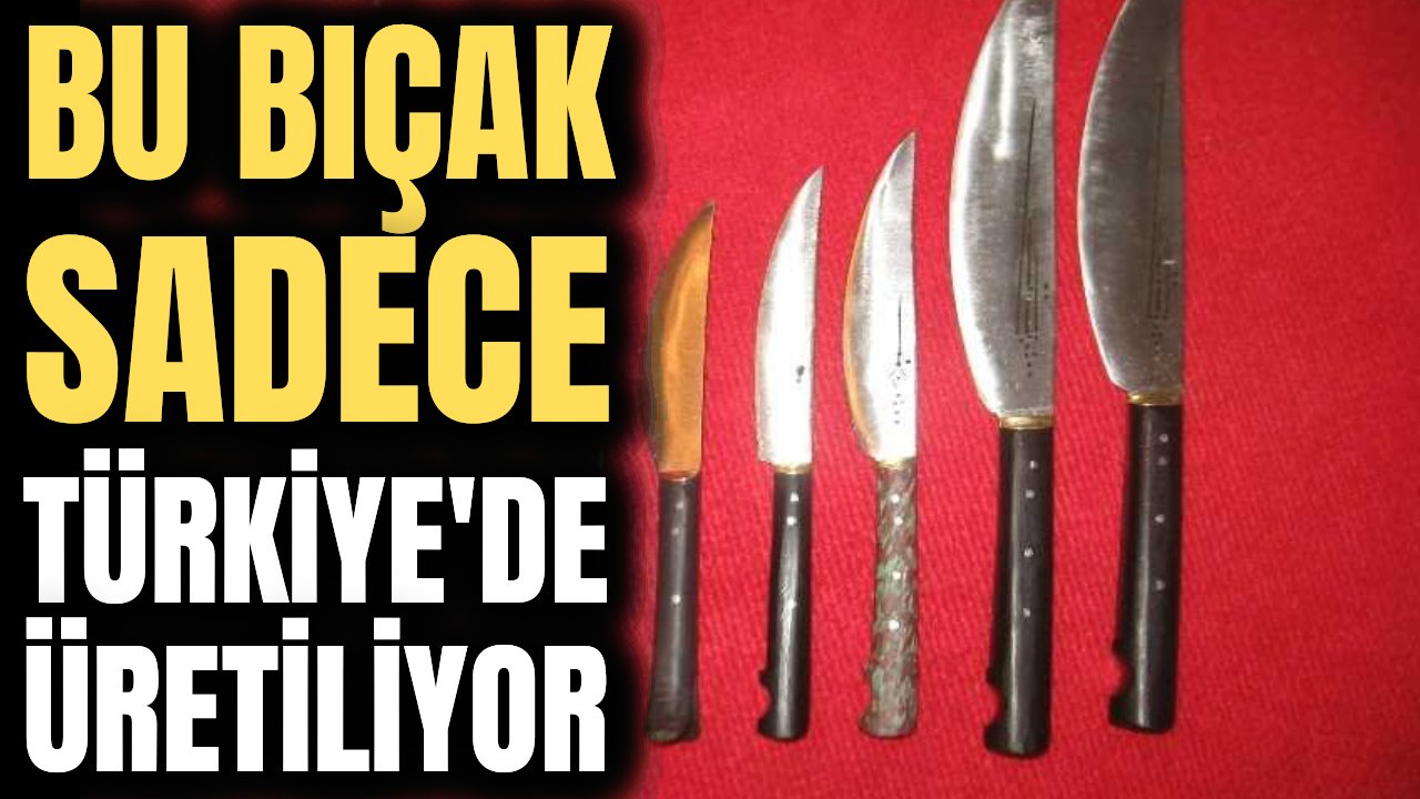 Bu bıçak sadece Kastamonu'da üretiliyor ve özellikleri tüm dünyayı hayran bırakıyor! İşte Evrenye bıçağı...