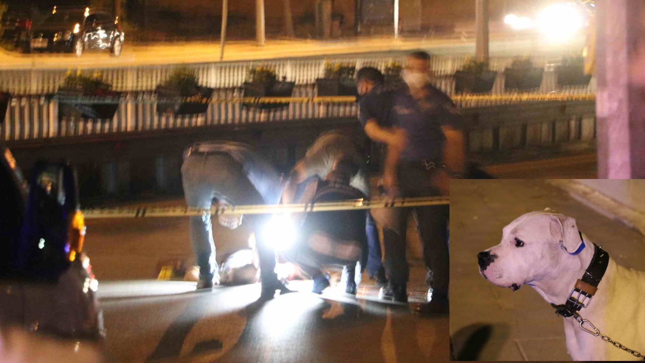 Böyle ölüm olmaz, köpeğini gezdirirken sebepsiz yere öldürüldü