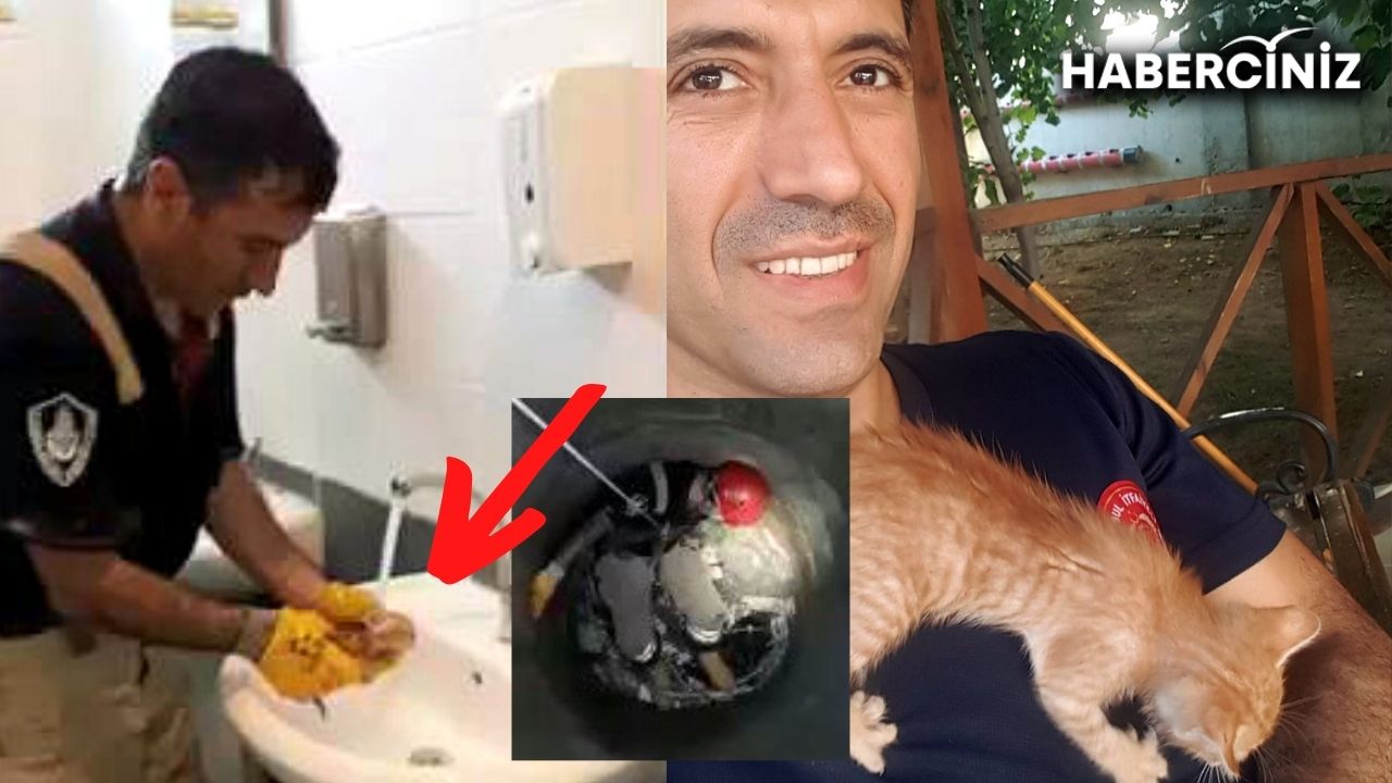 Hayvanlara şiddetin arttığı günlerde kalpleri ısıtacak olay: İtfaiye eri kurtardığı kediyi sahiplendi!