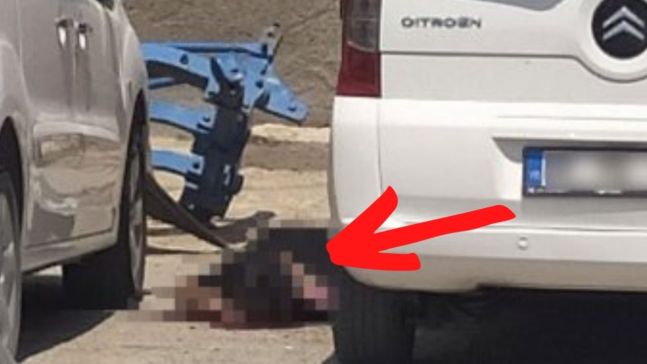 Son dakika: Mardin'de canlı bomba dehşeti!