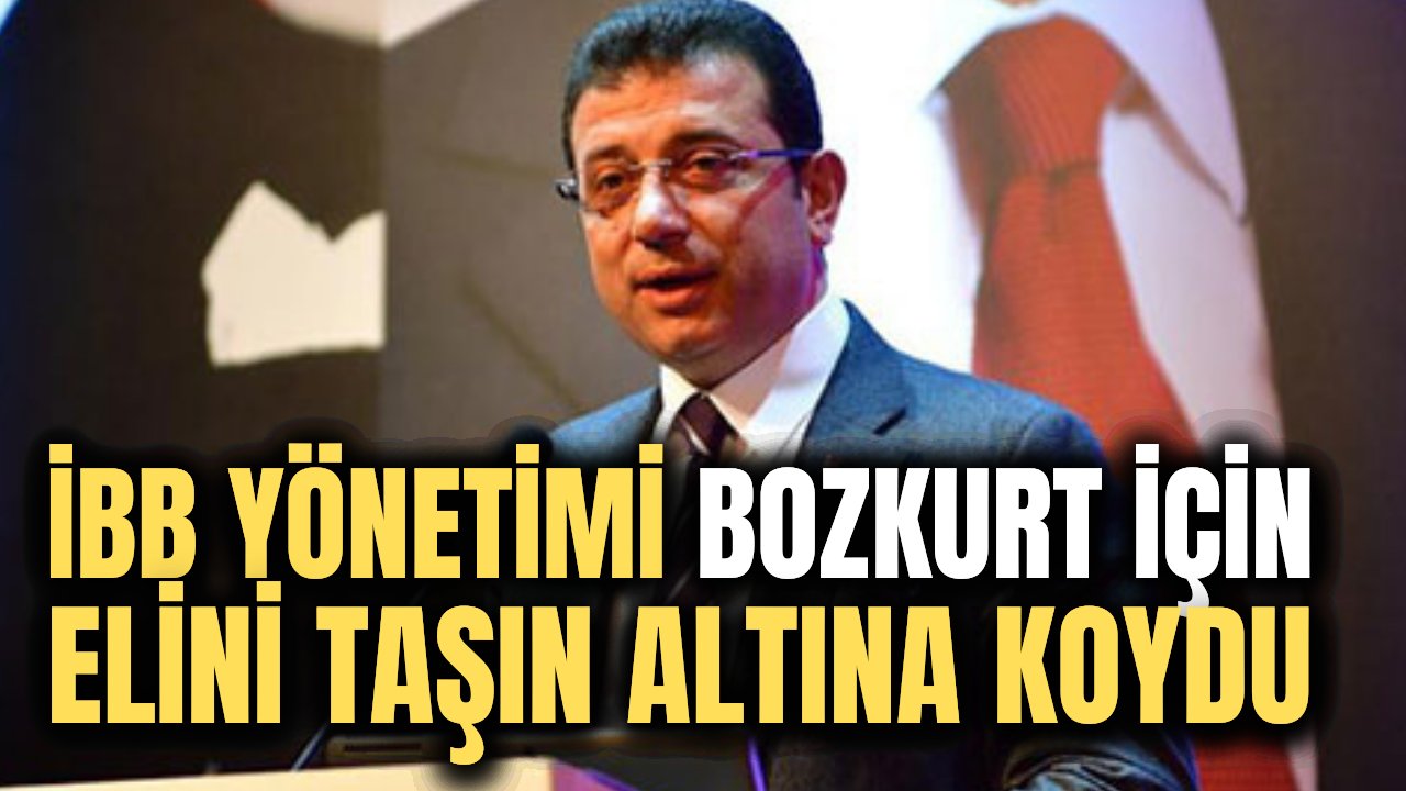 Ekrem İmamoğlu sel felaketinin yaşandığı Bozkurt için harekete geçti! Bir sokağı teslim alacaklar
