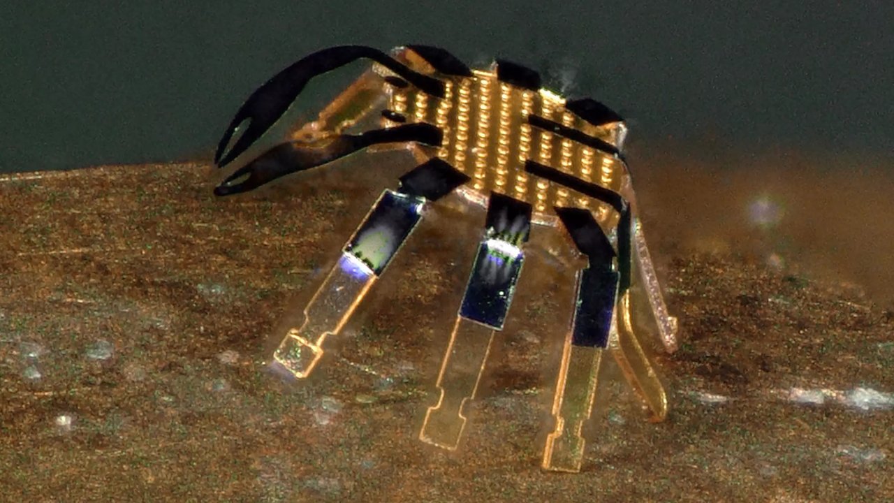 Dünyanın en küçük robotu: Bir pireden bile daha küçük!