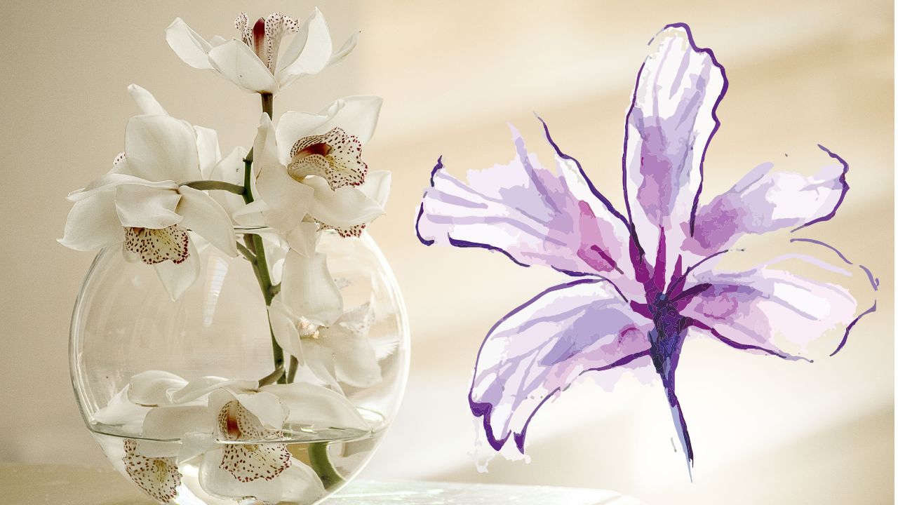 Çiçekleri dökülen ve solan orkide nasıl canlandırılır? Hem basit hem etkili  yöntem!