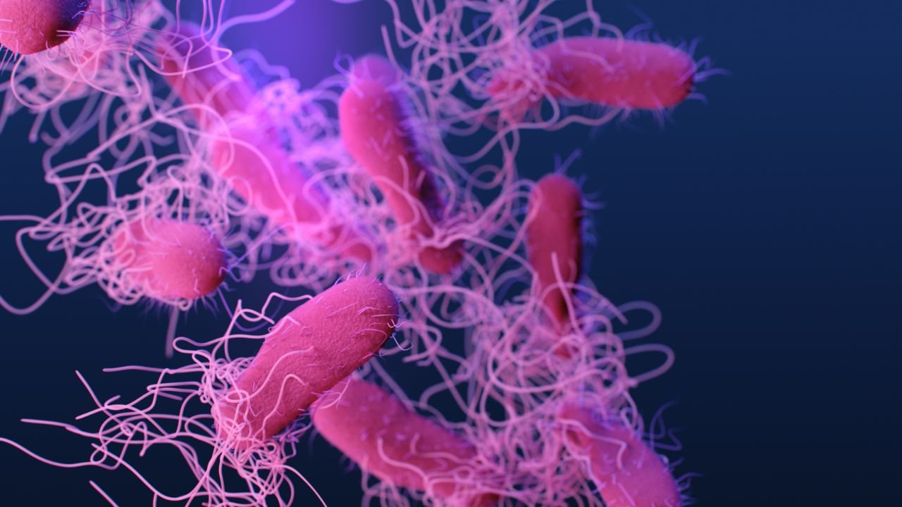 Türkiye'de çok seviliyor: Kinder'in ardından şimdi de o markada salmonella alarmı!