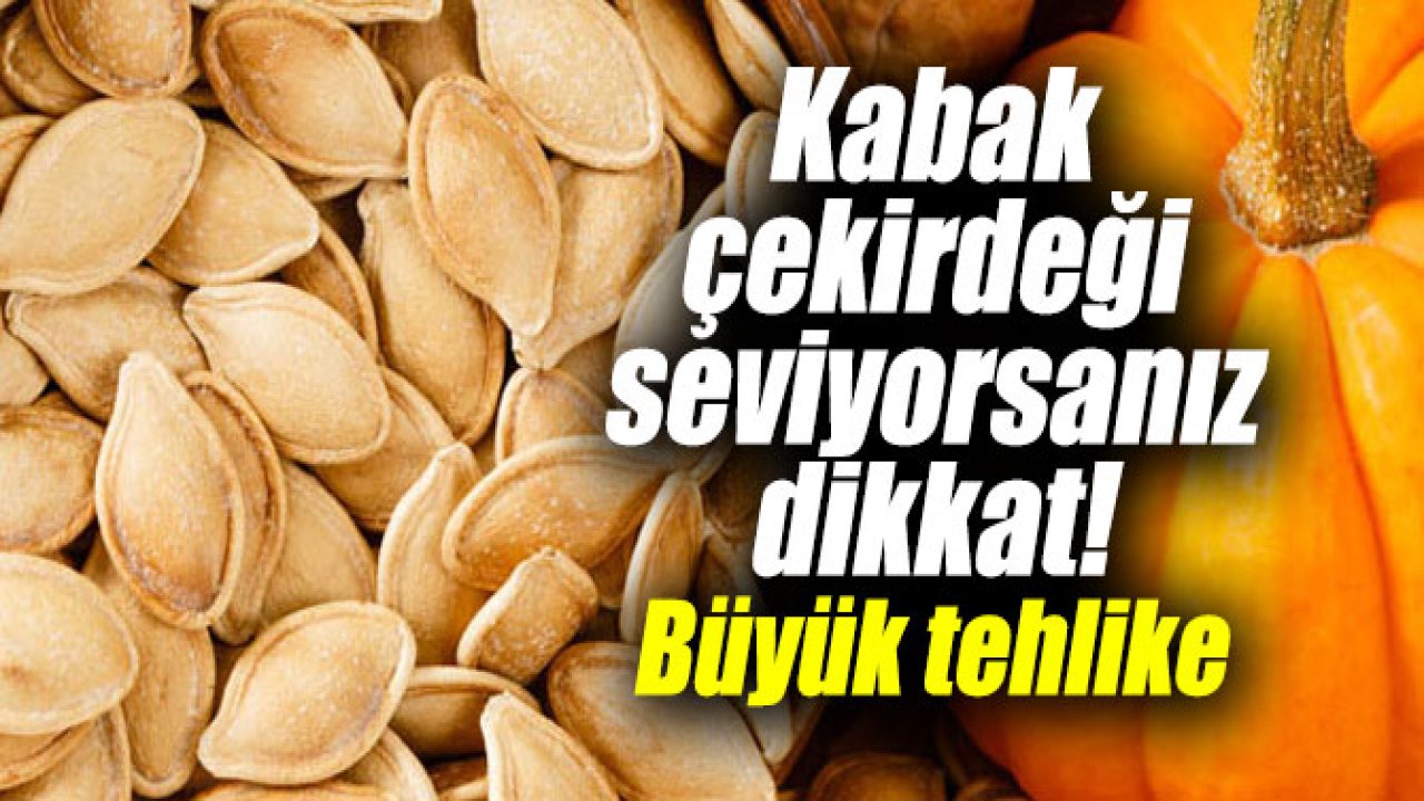 Faydalı dedik durduk ancak bilinmeyen bir zararı çıktı kabak çekirdeğindeki tehlike