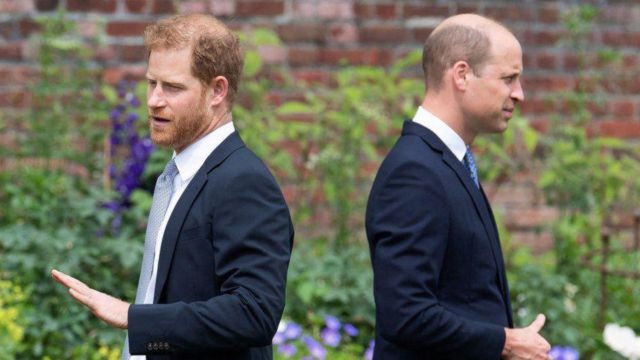 Prens Harry: Abim hastalanırsa organ bağışlamam için doğdum
