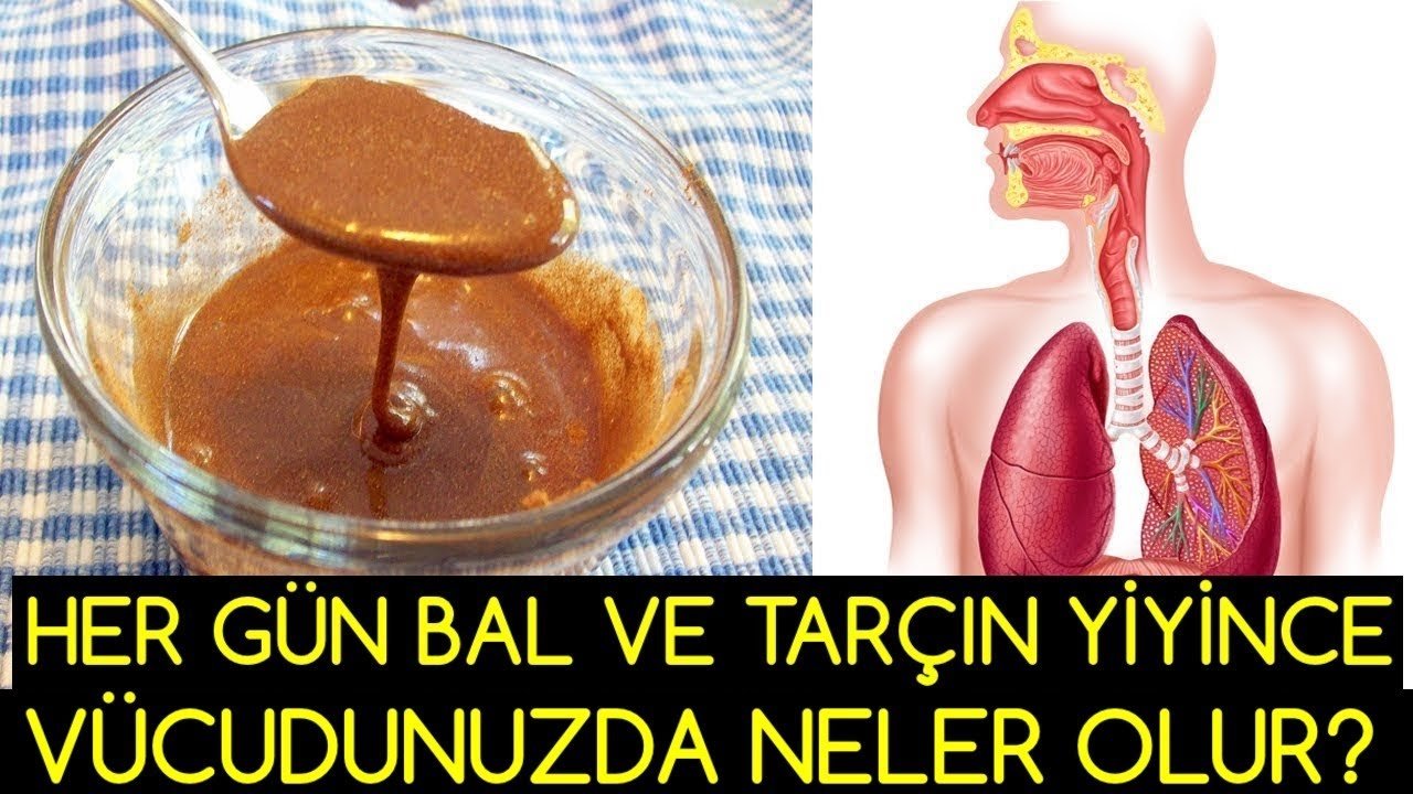 Bal ve tarçını karıştırıp 1 kaşık yiyince faydası inanılmaz! İşte bilmeniz gerekenler
