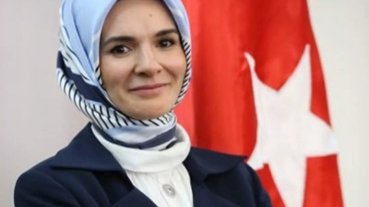 Aile ve Sosyal Hizmetler Bakanı Mahinur Özdemir Göktaş kimdir?