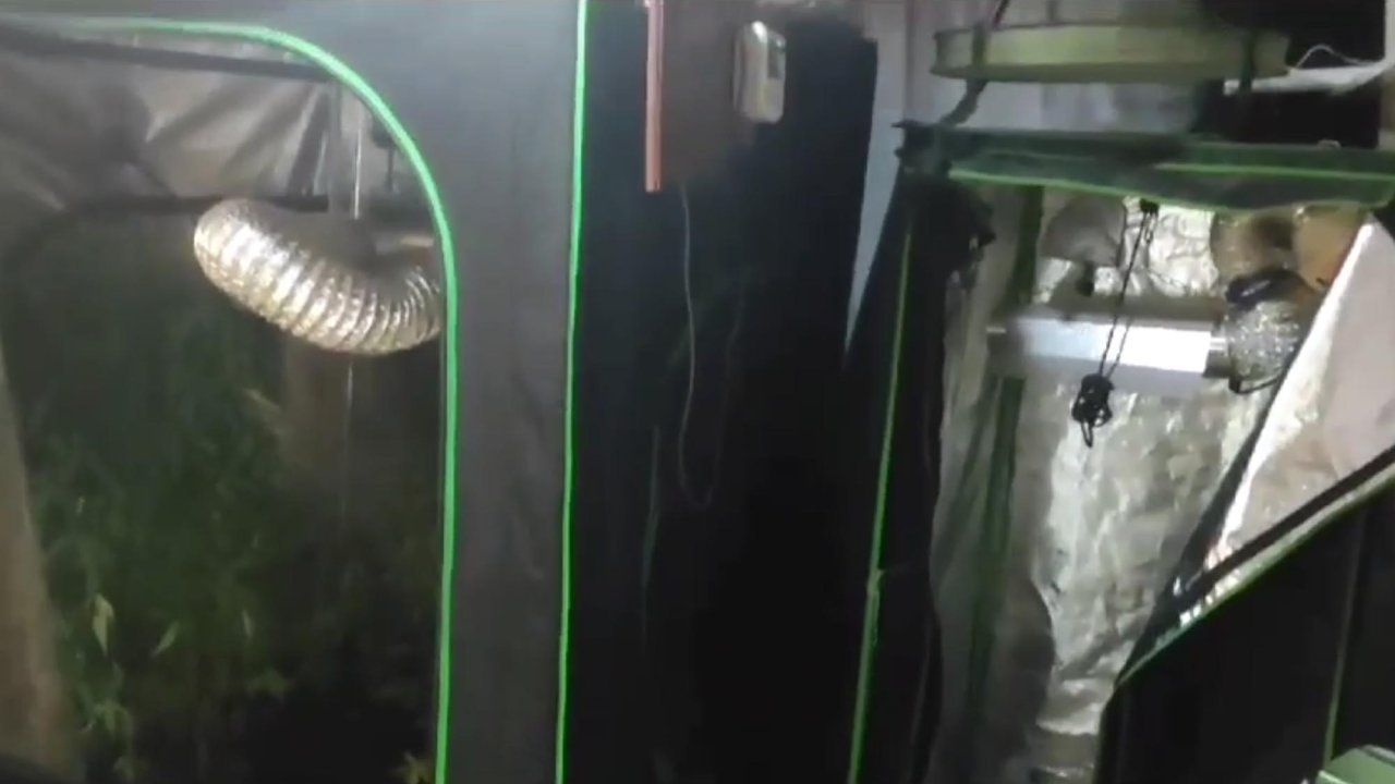Tekirdağ'da evine sera kurup uyuşturucu imal eden şahıs tutuklandı