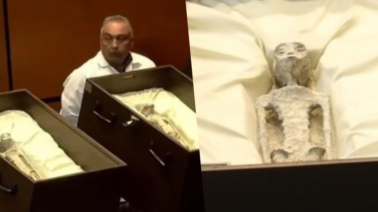 Uzaylı kalıntılarını gösterdiler: 1000 yaşında olabilirler