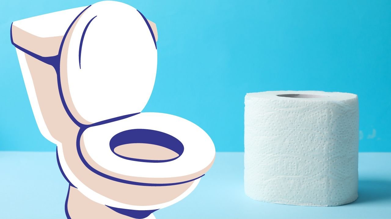 Umumi tuvaletlerde klozete peçete seriyorsanız dikkat! Bir daha yapmayacaksınız