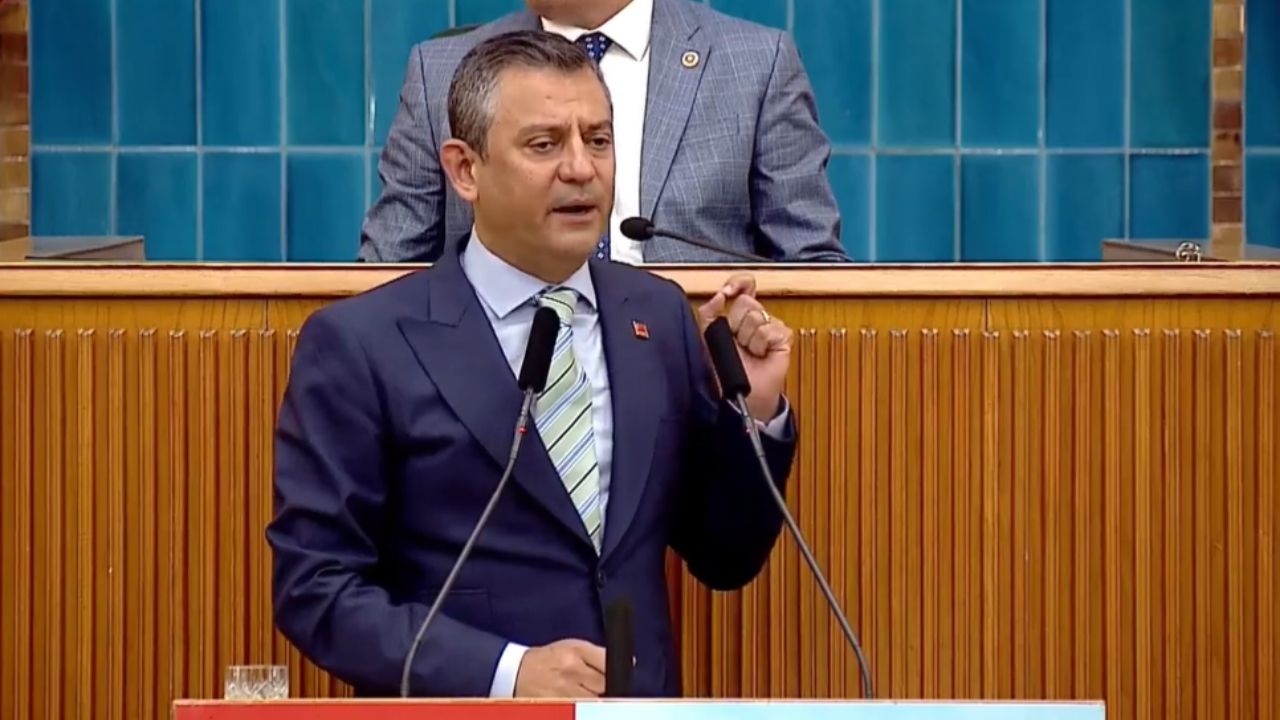 Sokak hayvanları yasası Meclis'ten geçti! Özgür Özel'den AYM açıklaması