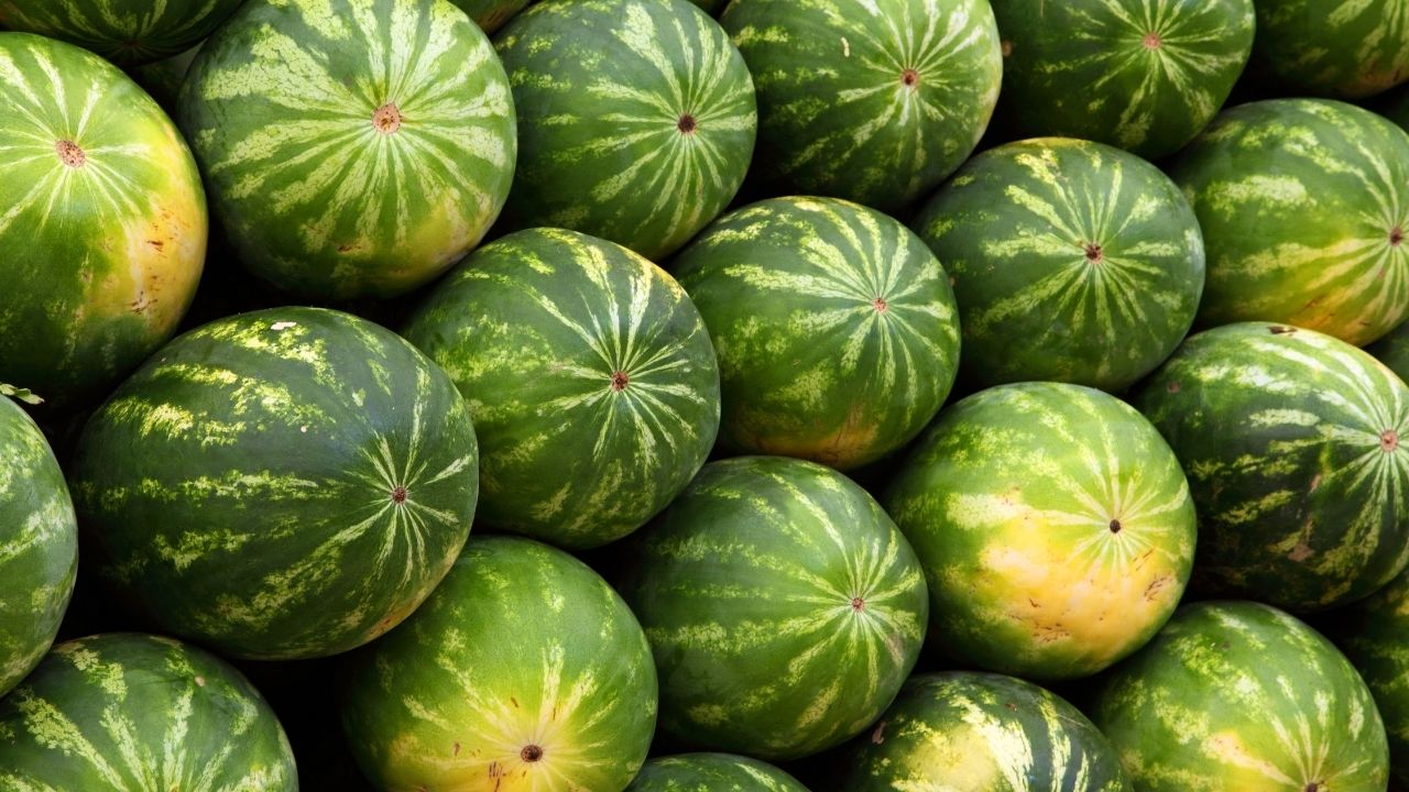 Asla kelek çıkmayacak! Bu yöntemle bir bakışta en iyi karpuzu seçeceksiniz