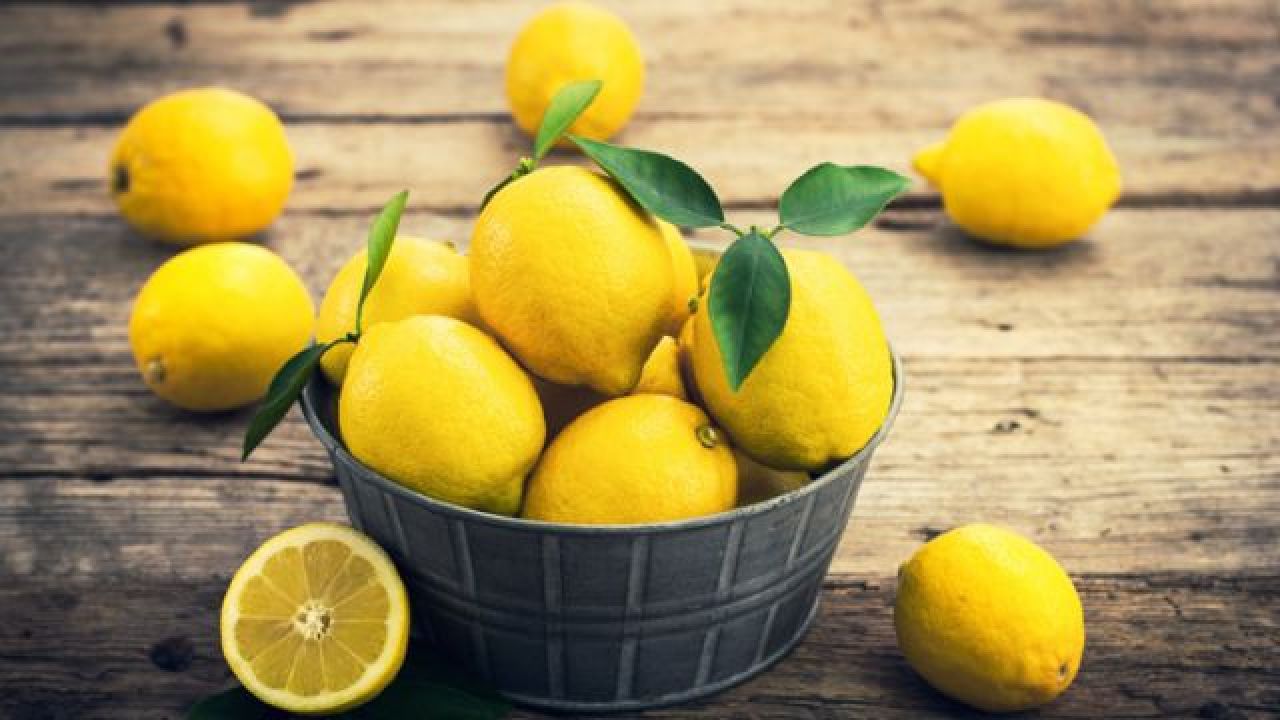 Limon ihracatında geçici durdurma kararı