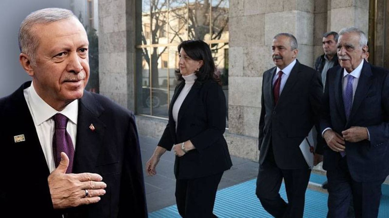 DEM Parti'den Erdoğan ile görüşme zamanı açıklaması