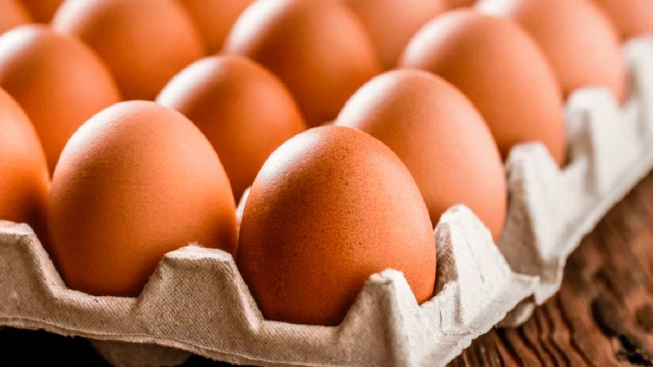 Yumurta fiyatlarında artış sürüyor: Üretim düşüşü ve ihracat ile maliyetlerdeki artış etkili oluyor