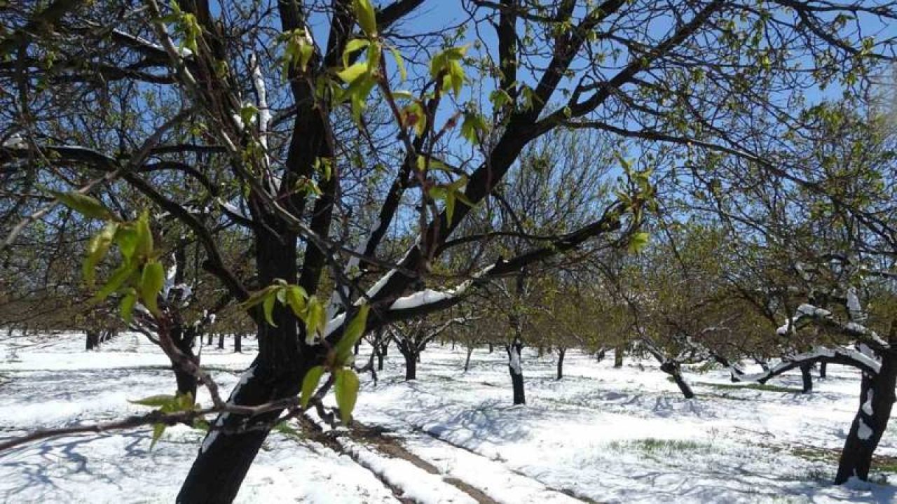 Chp'den tarım felaketi için afet bölgesi ilanı talebi Meclis'te