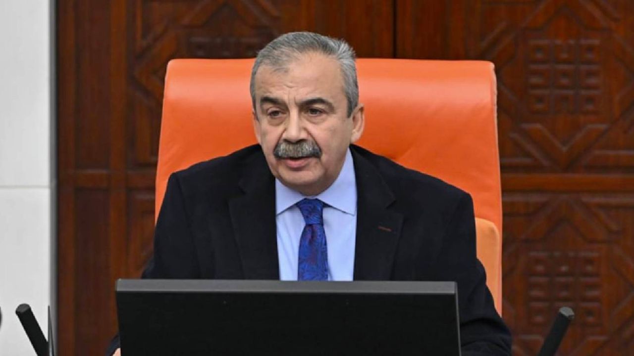 Meclis Genel Kurulu'na Sırrı Süreyya Önder arası
