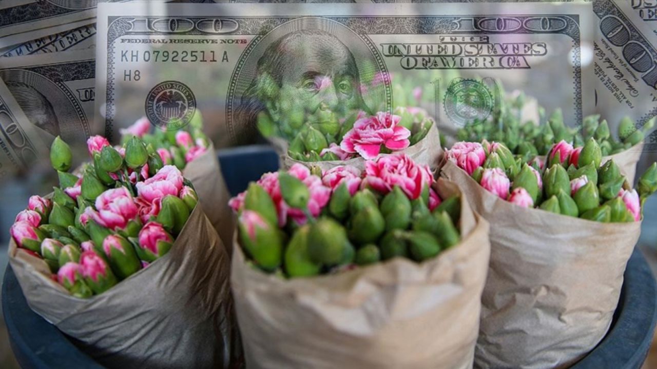 Çiçek sektörü yılın ilk çeyreğinde 56,2 milyon dolarlık ihracat gerçekleştirdi