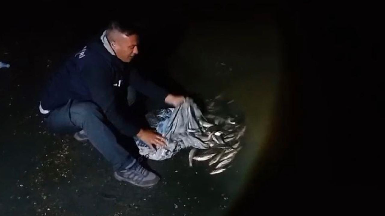 Van'da Kaçak Avlanan 60 Kilo Canlı İnci Kefali Ele Geçirildi
