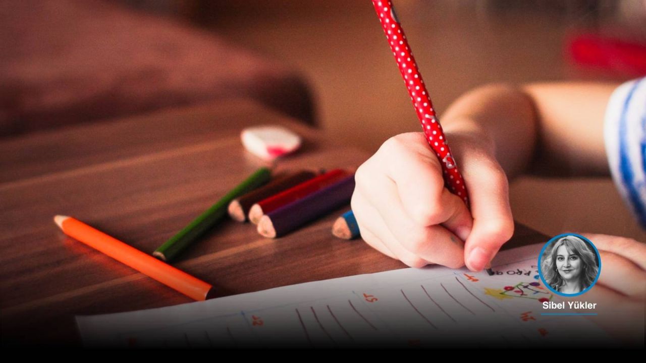 Aym'den Otizmli Çocukların Eğitiminde Emsal Karar: Yetersiz Eğitim İhlal Sayıldı
