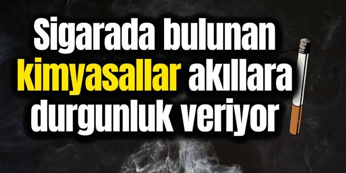 Sigaranın içindeki maddeleri görünce şoka gireceksiniz!