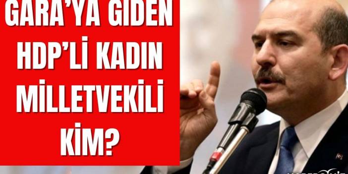 Süleyman Soylu'nun söylediği Gara'ya giden HDP'li kadın ...