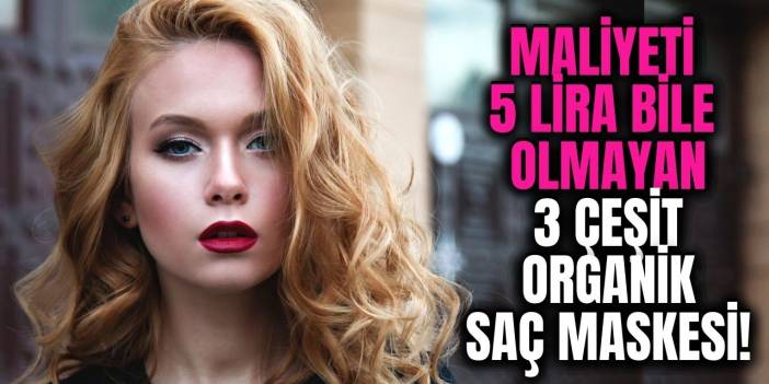 Maliyeti 5 liradan az olan 2 malzemeli 3 çeşit organik ev yapımı saç
