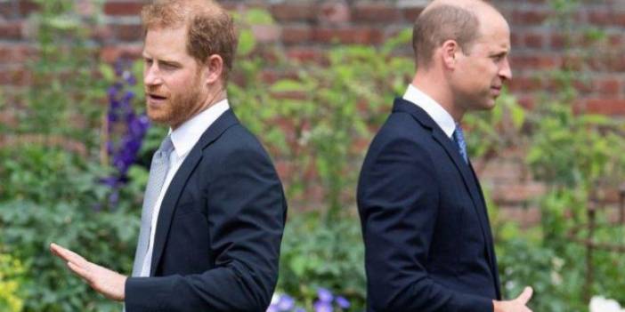 Prens Harry: Abim hastalanırsa organ bağışlamam için doğdum
