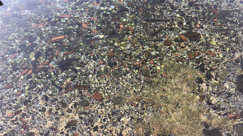 kar selin balıklı göl