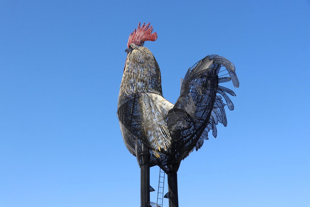 Denizli Seyir Tepesi Şehir Ormanı