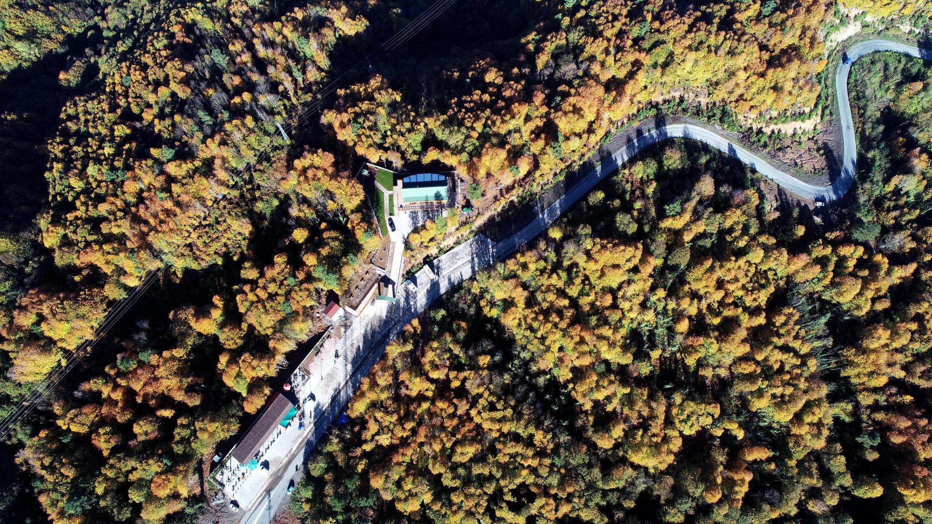 Zonguldak ormanları sonbaharda renk çümbüşüne sahne oldu