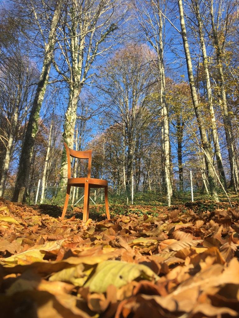 Eriklitepe Tabiat Parkı
