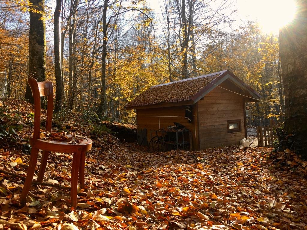 Eriklitepe Tabiat Parkı