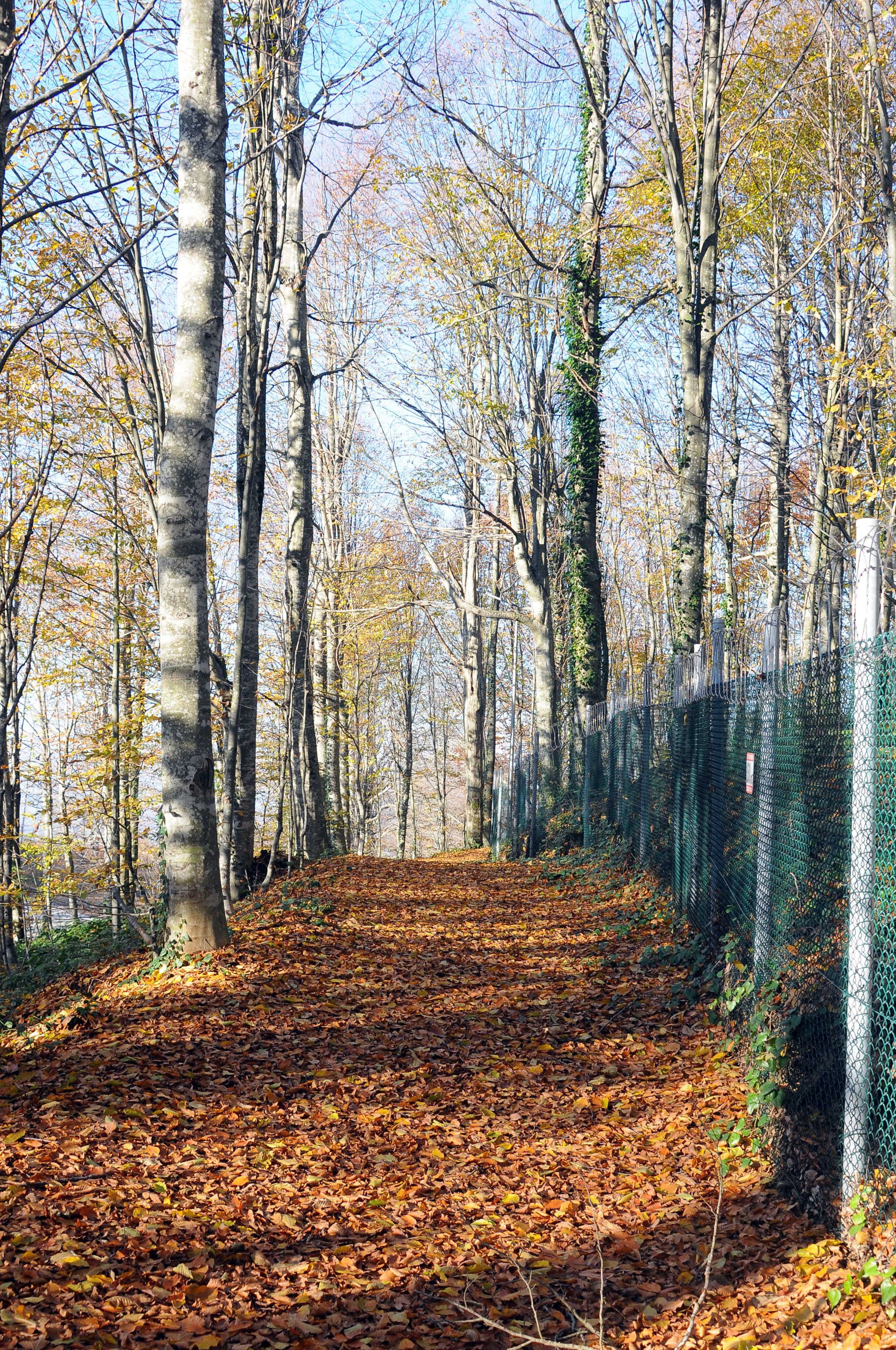 Eriklitepe Tabiat Parkı