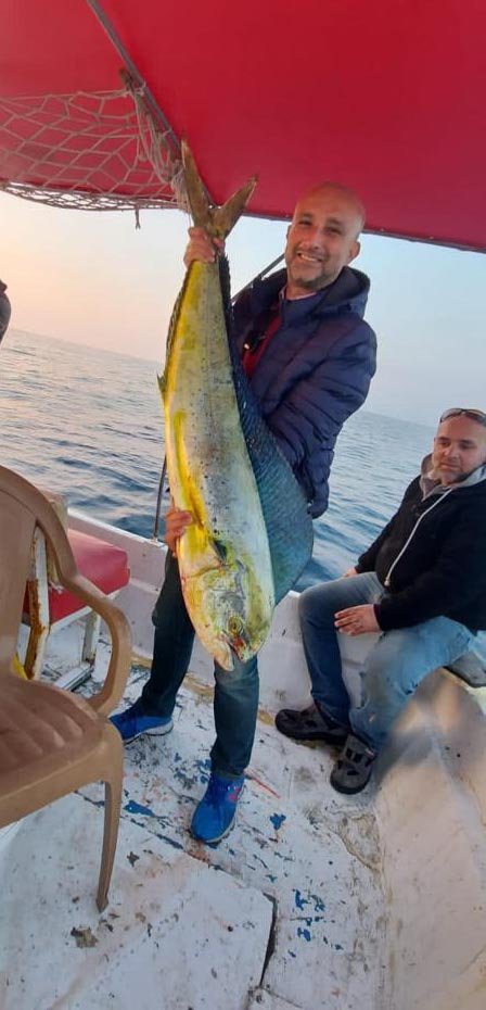 lambuka balığı