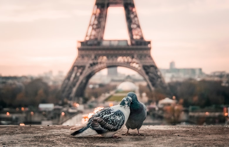 france.jpg