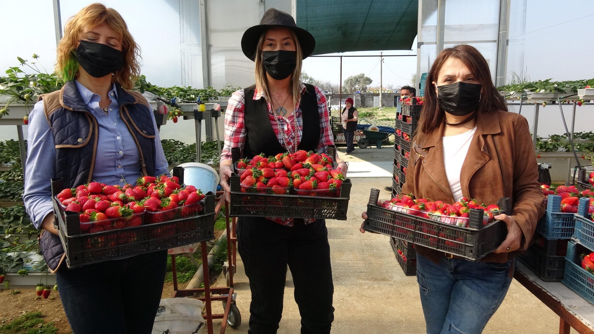 Toprak olmadan üretime başlayıp dünyaya kafa tuttular