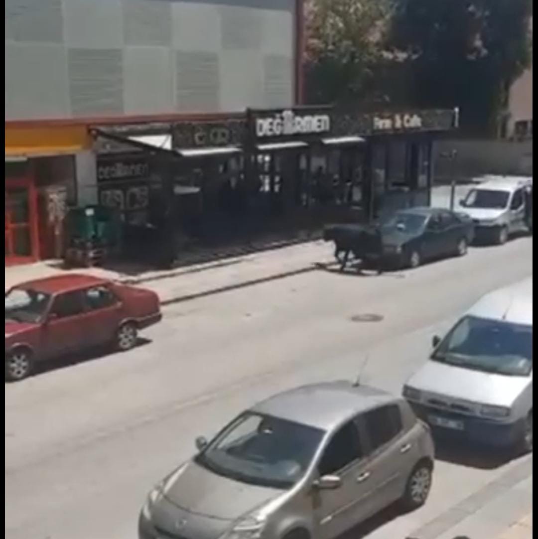 Sahibinin elinden kaçan kurbanlık boğa kafeteryaya girdi!