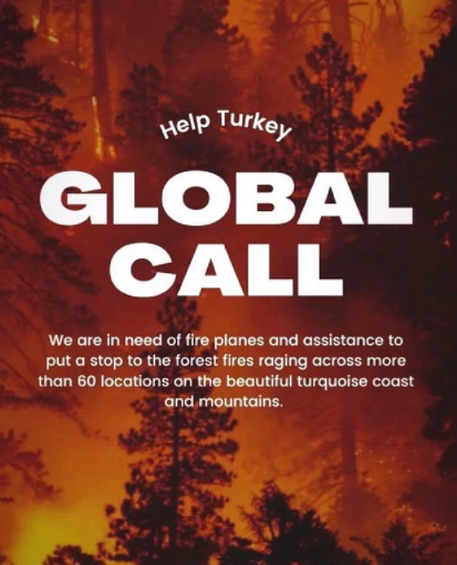global-call.png