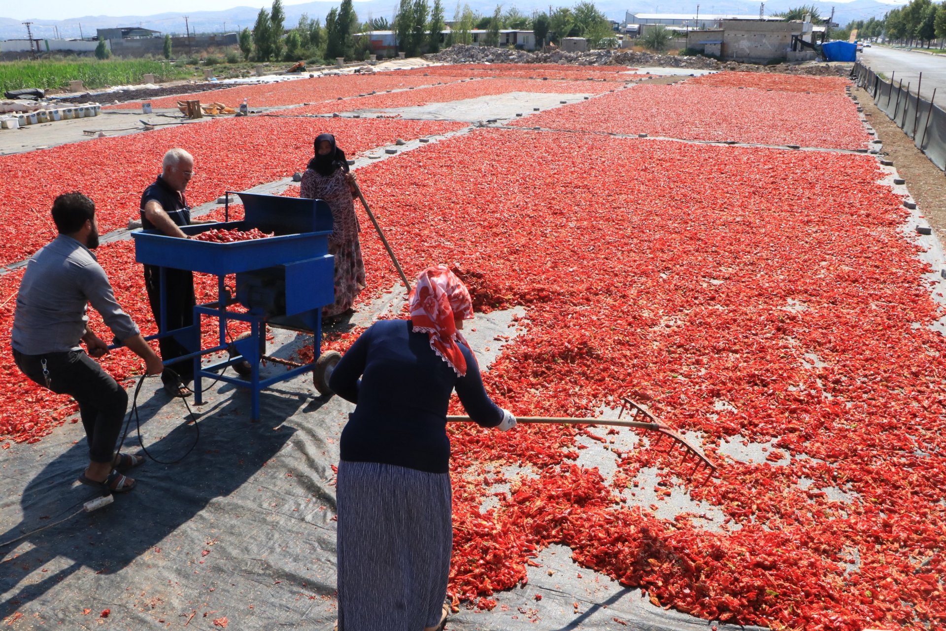 Urfa'nın acı mesaisi başladı, her yer kırmızıya boyandı