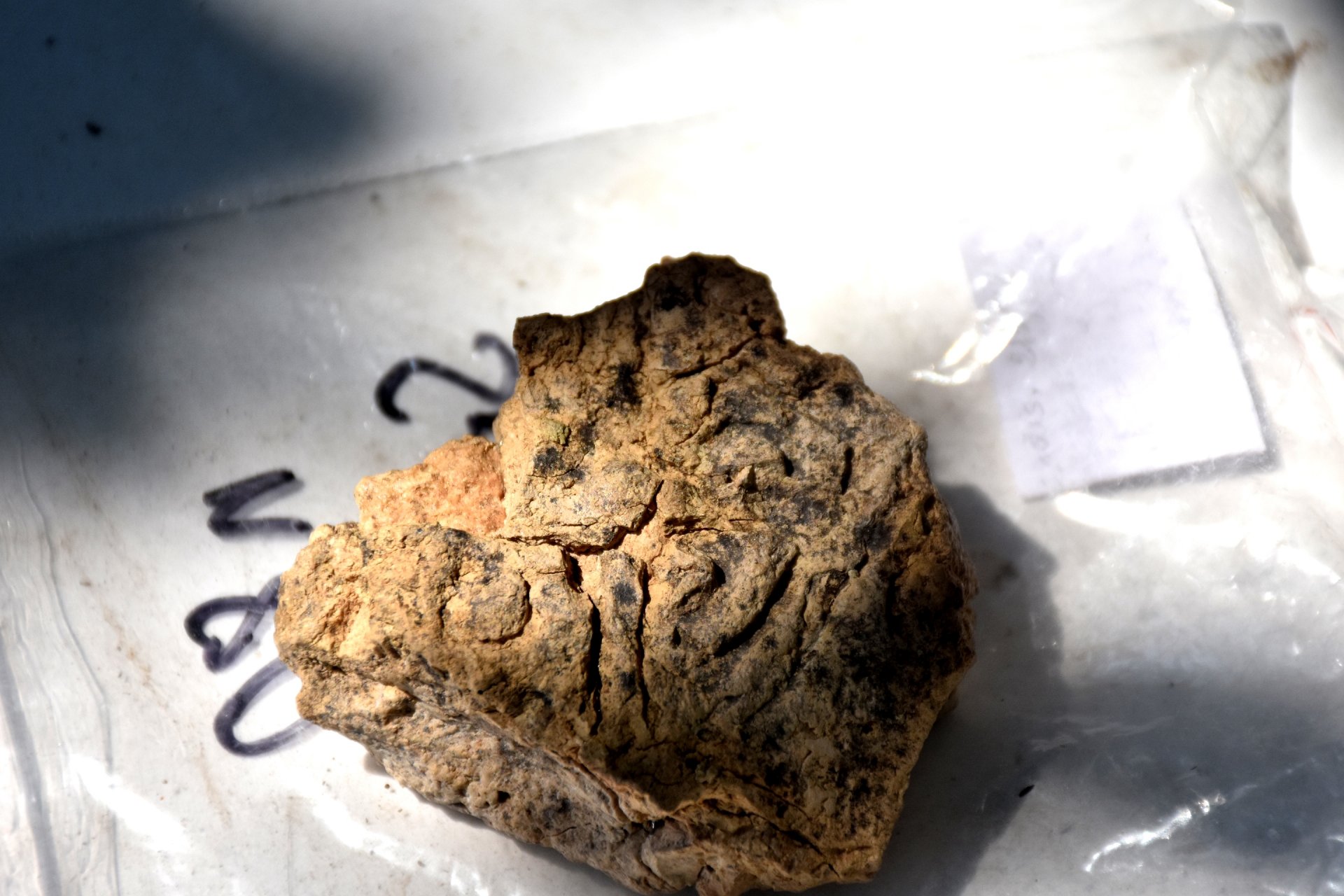 Arslantepe Höyüğü'nde bulundu! 5 bin 621 yıllık olduğu düşünülüyor