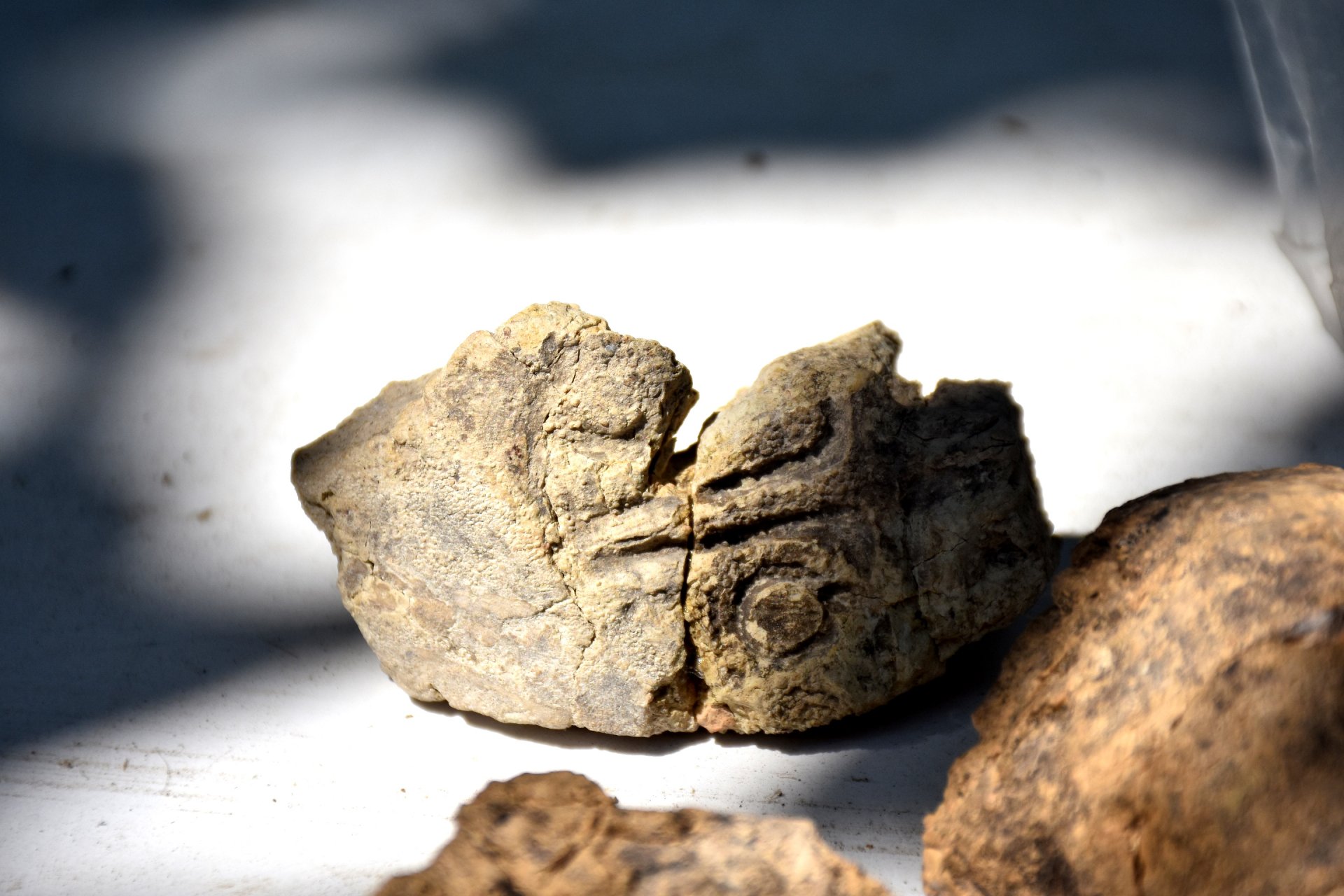 Arslantepe Höyüğü'nde bulundu! 5 bin 621 yıllık olduğu düşünülüyor