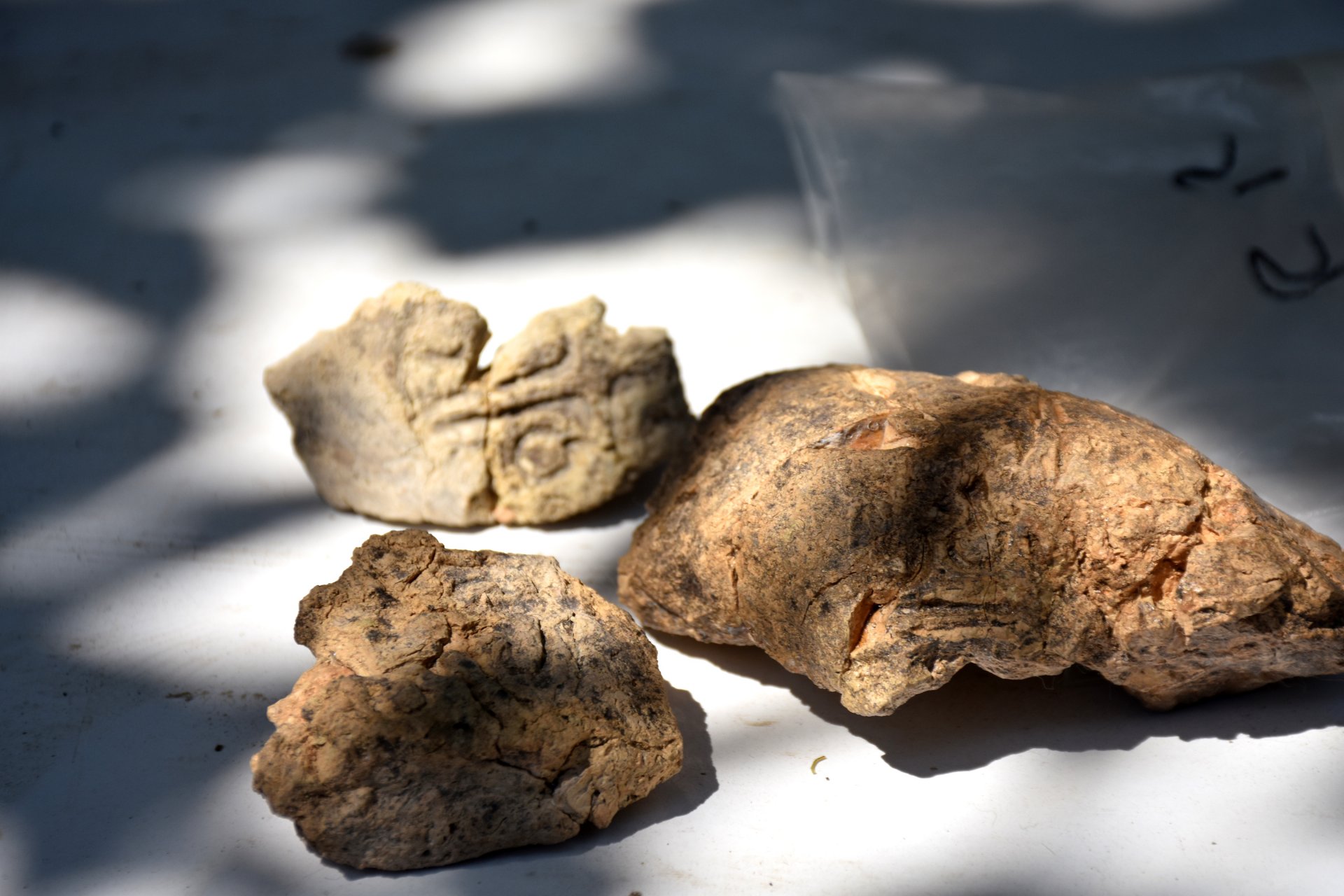 Arslantepe Höyüğü'nde bulundu! 5 bin 621 yıllık olduğu düşünülüyor