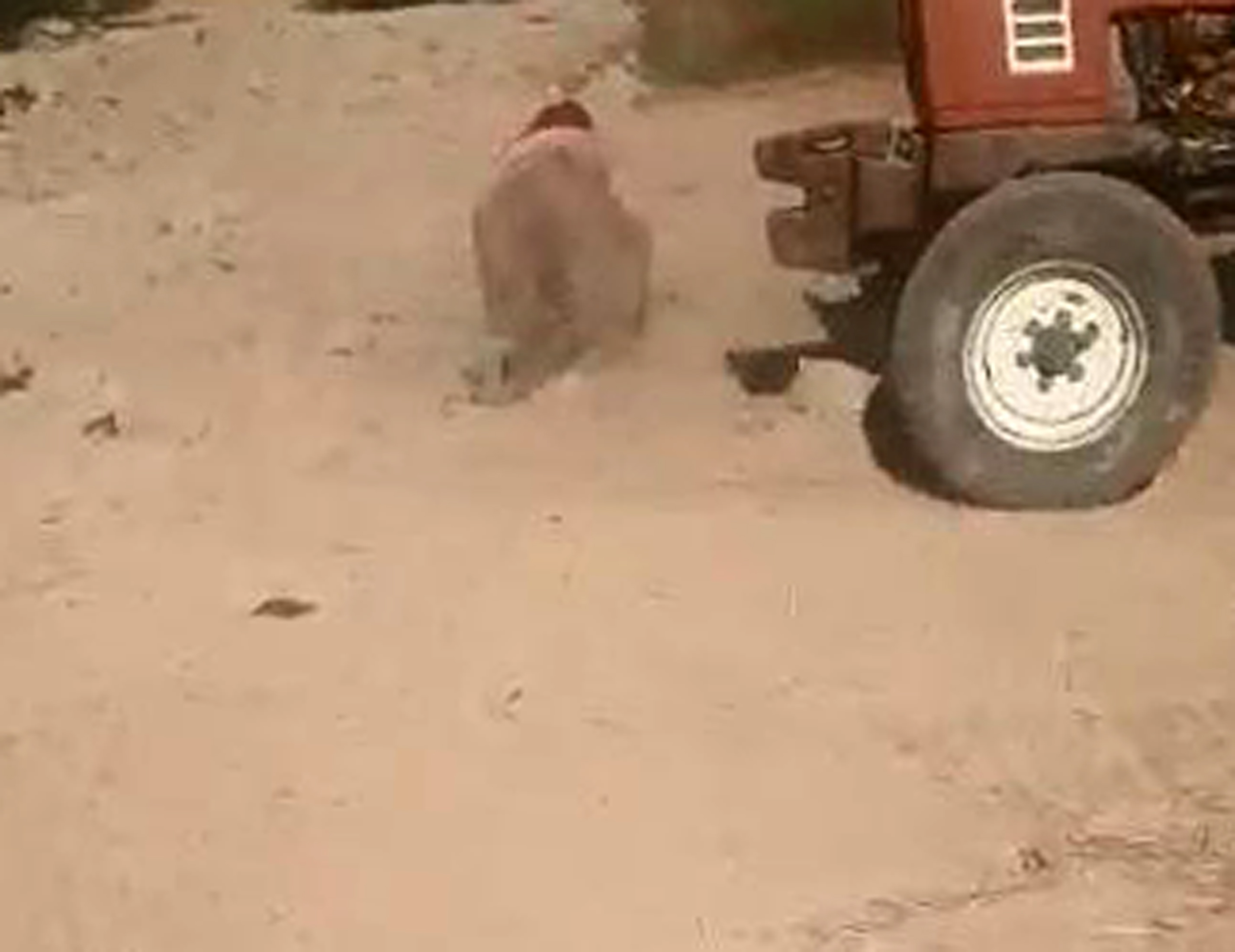 h2.jpg