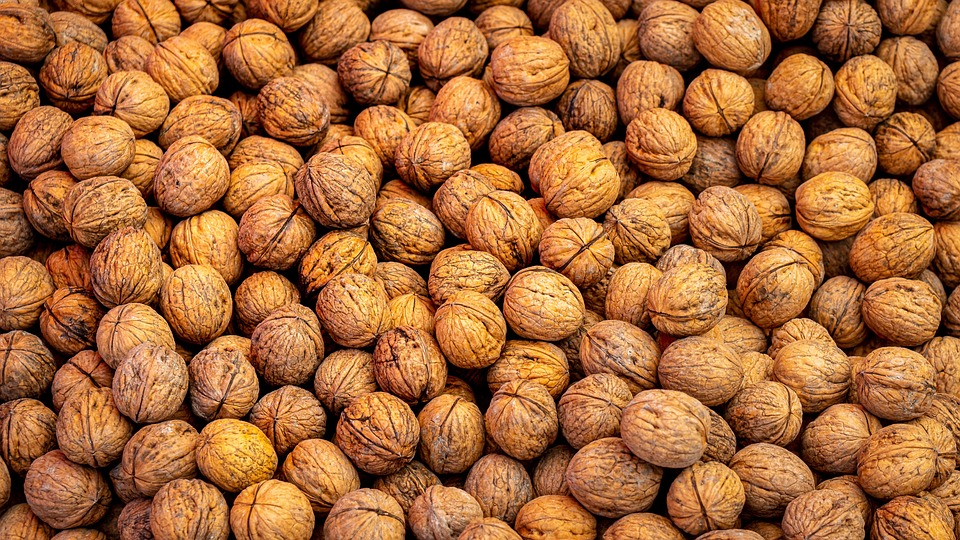 walnuts-5690087-960-720.jpg