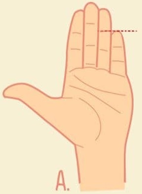 know-yourself-test-pinky-finger-length-1-001.jpg