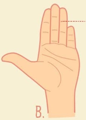 know-yourself-test-pinky-finger-length-2-001.jpg